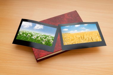 Picture frames with nature photos clipart