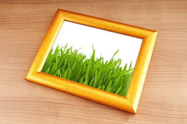 Grünes Gras auf dem Fotorahmen — Stockfoto