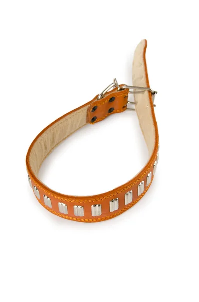 Dog collar isolated on the white background — Stock Photo, Image