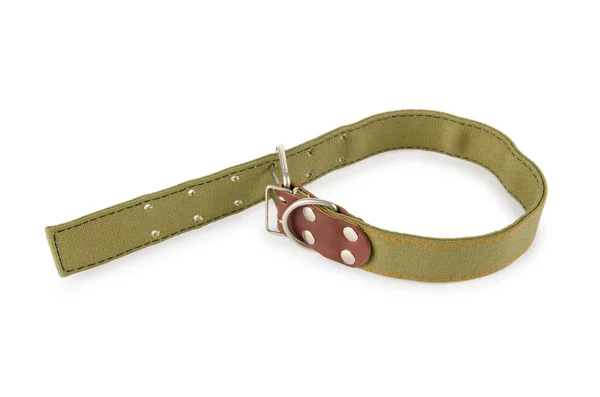 Dog collar isolated on the white background — Stock Photo, Image