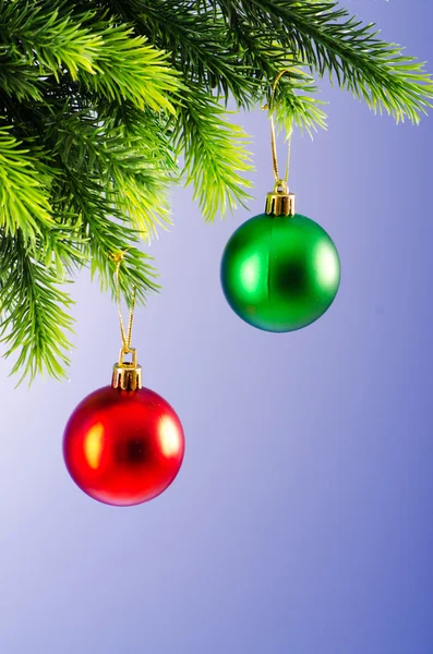 Baubles en el árbol de Navidad en concepto de celebración — Foto de Stock