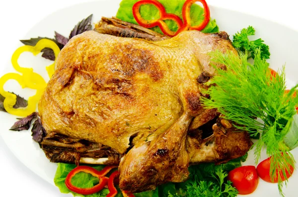 Roasted turkey served in plate — Stock Photo, Image