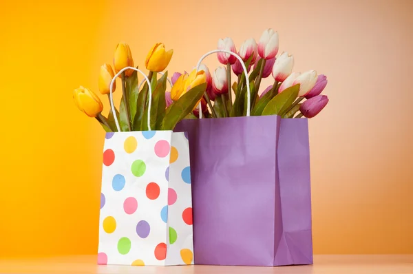 Tulipanes en la bolsa contra el fondo degradado —  Fotos de Stock