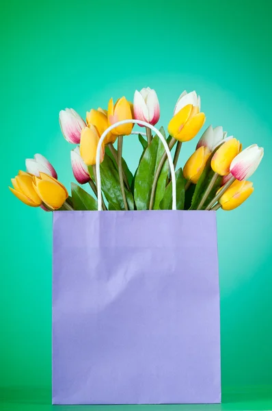 Tulipes dans le sac sur fond de dégradé — Photo
