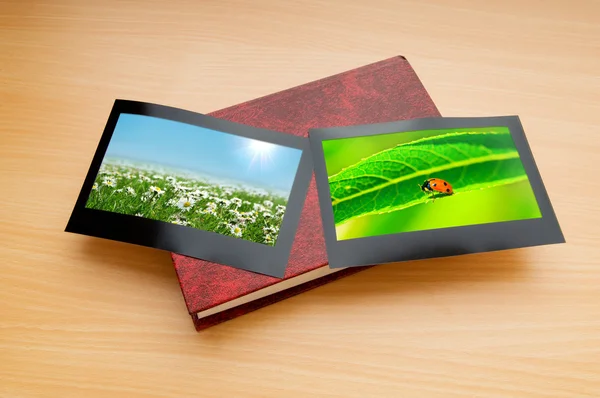 stock image Nature photos in picture frames