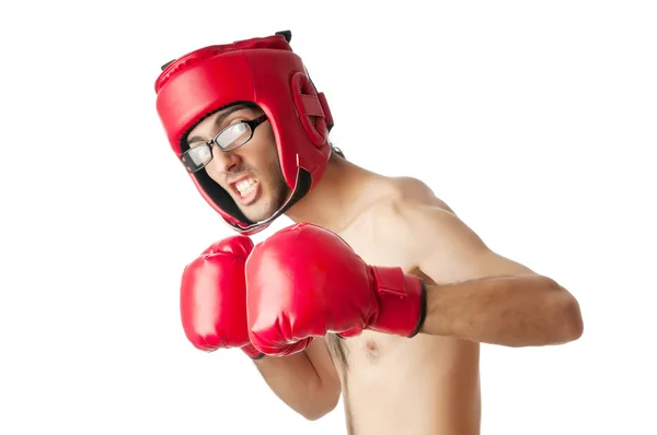 Смешной боксер изолирован на белом — стоковое фото