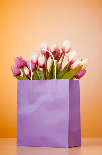 Tulipány v sáčku proti barevných přechodů — Stock fotografie