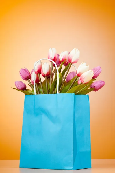 Tulipanes en la bolsa contra el fondo degradado — Foto de Stock