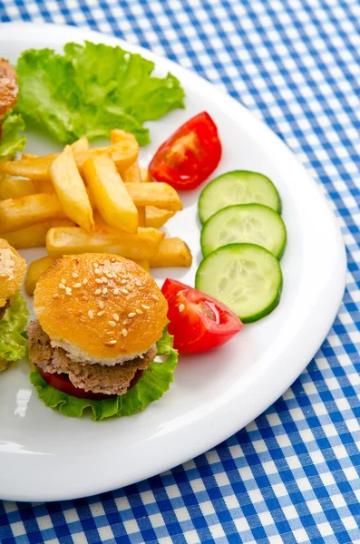 stock image Burgers with french fries in plate