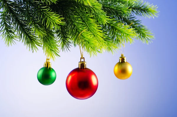 Baubles en el árbol de Navidad en concepto de celebración —  Fotos de Stock