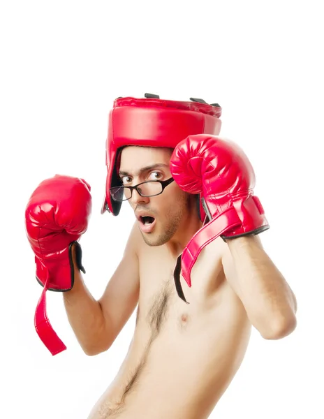 Zabawny bokser odizolowany na białym — Zdjęcie stockowe