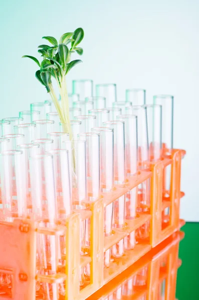 緑の草と実験研究室 — ストック写真