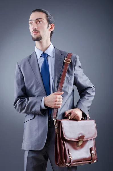 Young businessman with briefcase Royalty Free Stock Images