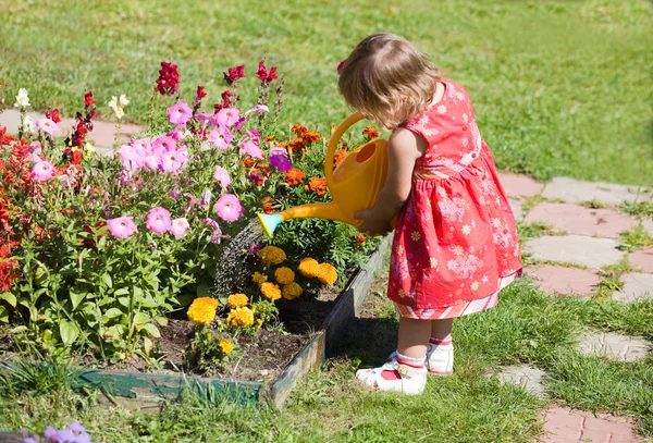 Girl watering flower beds — Stock Image Girl watering flower beds Stock Image