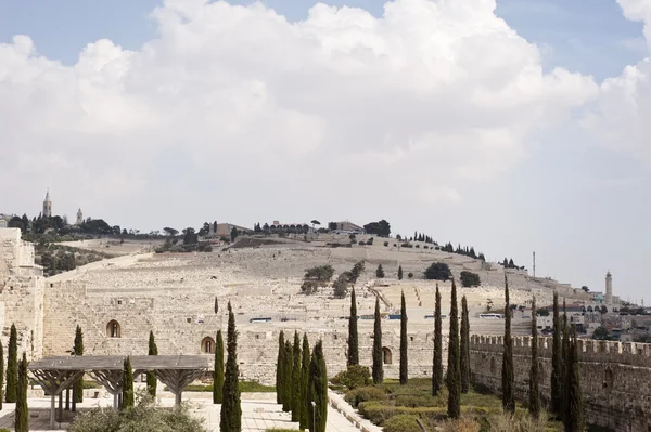 Kudüs, zeytin Dağı — Stok fotoğraf