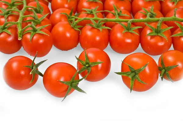 新鲜成熟的西红柿 — 图库照片