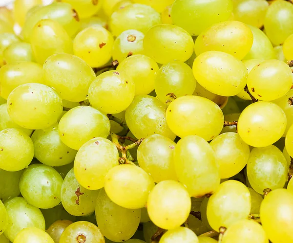 Fresh green grapes background — Stock Photo © Alexis84 #30497813