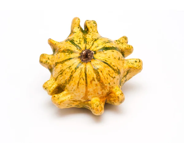 Decorative pumpkin isolated on white — Stock Photo, Image