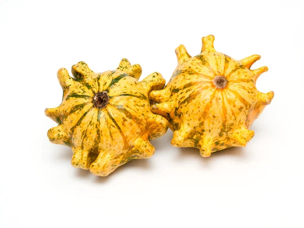 Decorative pumpkins isolated on white — Stock Photo, Image