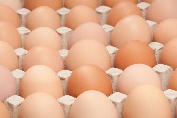 stock image Eggs