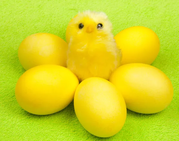 Sárga csirke — Stock Fotó