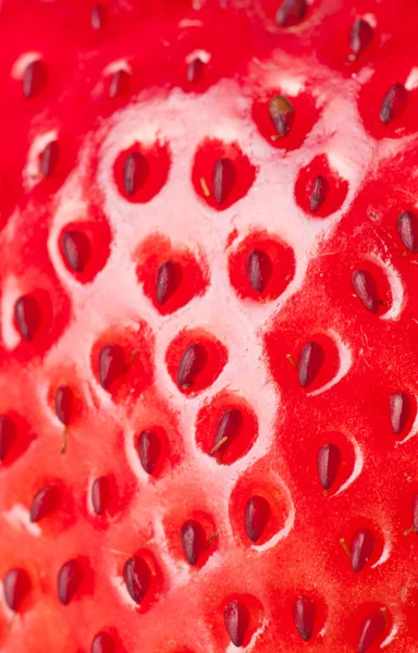 宏草莓 — 图库照片#
