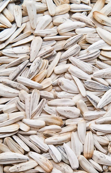Sunflower seeds Stock Picture