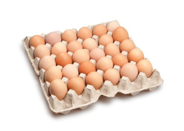 Eggs clipart