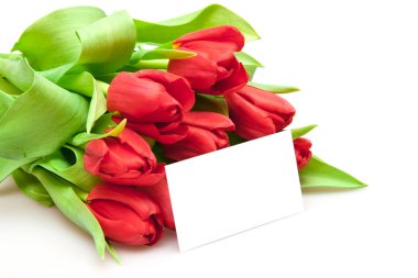 Bouquet of red tulips clipart