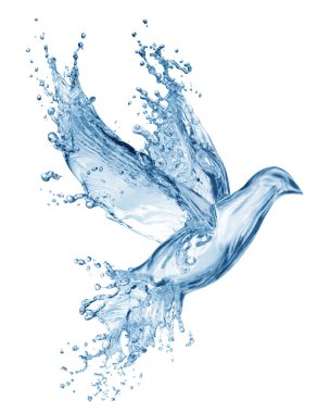 Dove made out of water splashes
