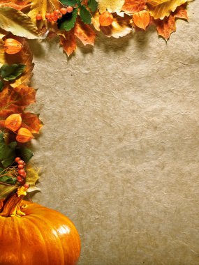 Autumn background with colored leaves on wooden board