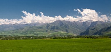 ön planda bir yeşil alan ile Panoramik dağ manzarası