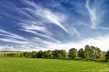 Several trees on the field and clouds clipart