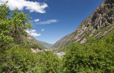 dağ manzarası. belagorka gorge, Kırgızistan