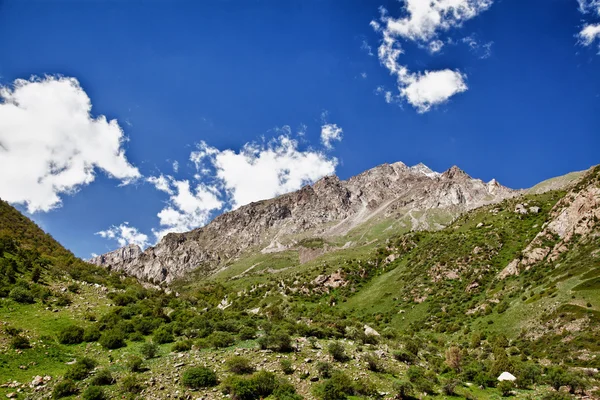 Bergslandskap. belagorka gorge, Kirgizistan — Stockfoto