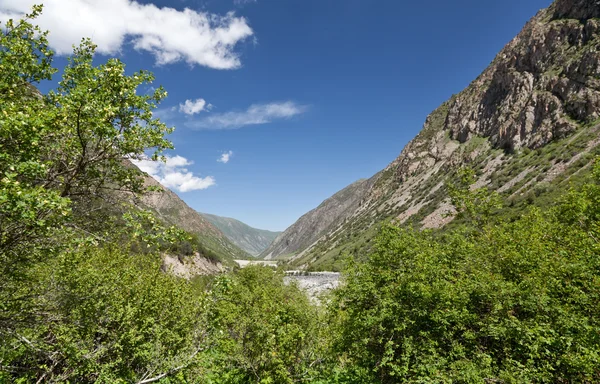 stock image Mountain landscape. Belagorka Gorge, Kyrgyzstan