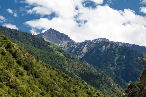 山风景。issik-ata 峡谷、 吉尔吉斯斯坦 — 图库照片