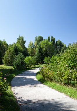 Kırgızistan park sokakta