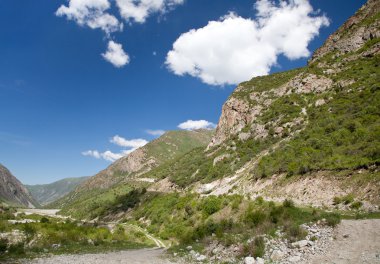 dağ manzarası. belagorka gorge, Kırgızistan