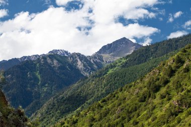 dağ manzarası. issik-ata gorge, Kırgızistan