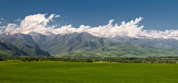 Panoramic mountain landscape with a green field in the foregrou — Stock Photo, Image