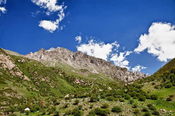 Paysage montagneux. Gorge de Belagorka, Kirghizistan — Photo
