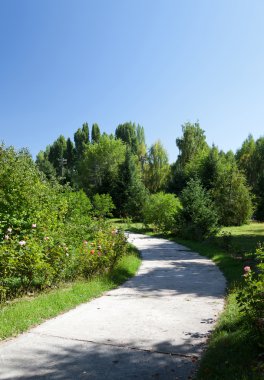 Alley in Kyrgyzstan. Issik-Kul Lake