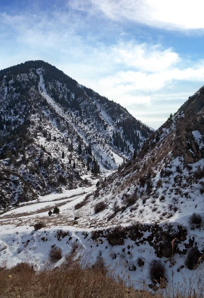 Landschap van besneeuwde bergen — Stockfoto