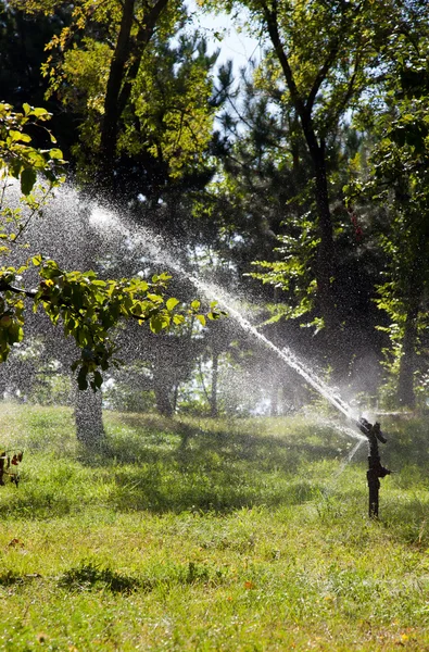 stock image Automatic watering of plants and trees