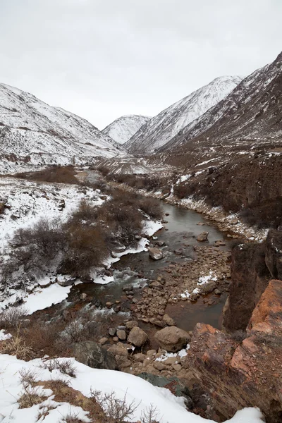 Boom-Schluchtenlandschaft in Kyrgyzstan (Asien). bewölkte Landschaft — Stockfoto
