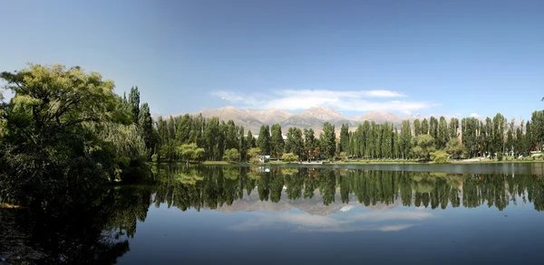 Panorama insjö med reflektion av träd och himmel — Stockfoto