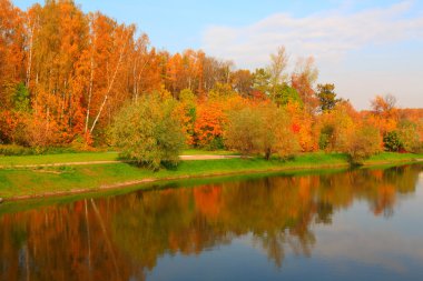 Şehir parkında sonbahar