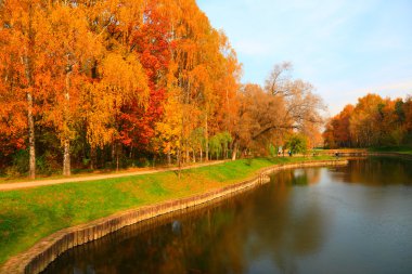 Autumn in city park at october clipart