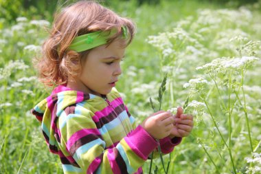 Little girl on glade with grass-blade in hand clipart